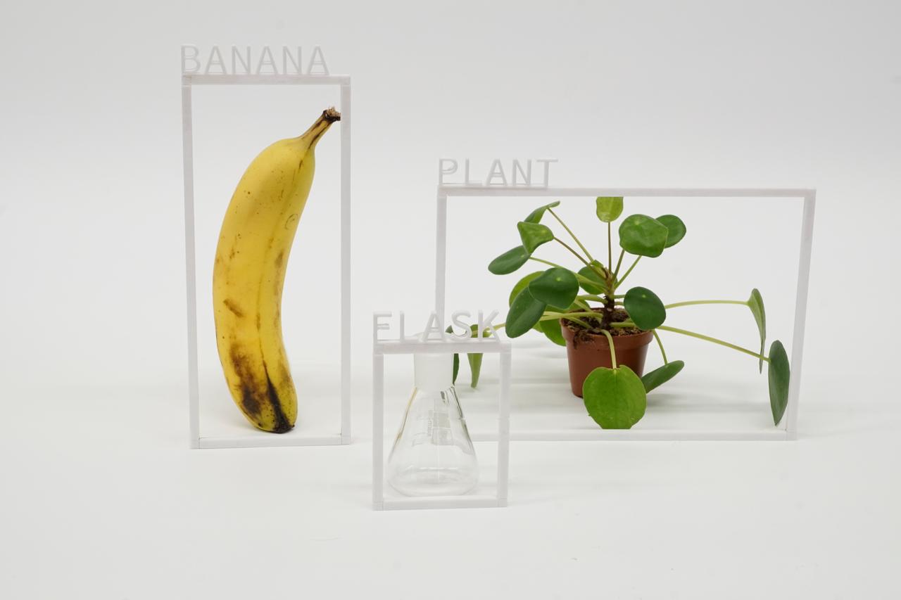 MaxGruber-Banana_-Plant-_-Flask-1280x853-1